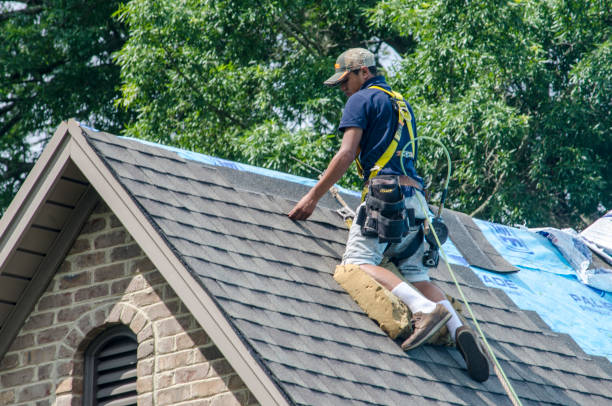 Roof Waterproofing Services in West Frankfort, IL